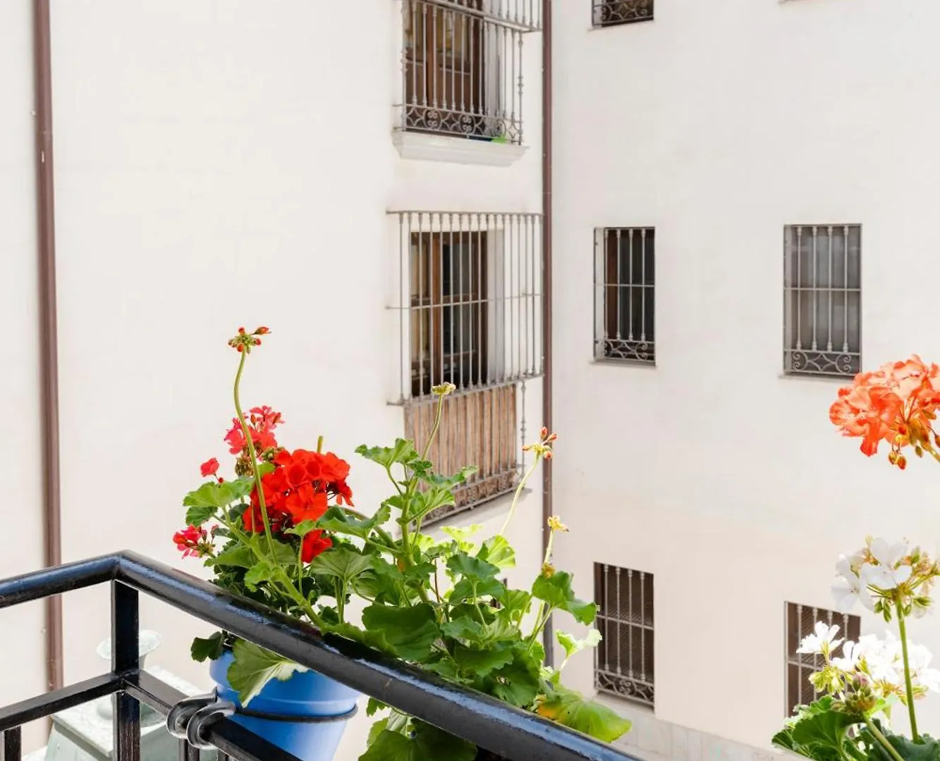 Homestay Entre Dos Aguas Apartment Granada